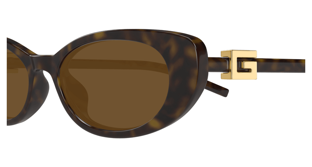 HAVANA / BROWN