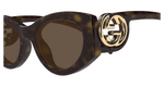 HAVANA / BROWN