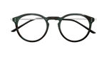 HAVANA / SILVER / TRANSPARENT