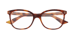 HAVANA / TRANSPARENT