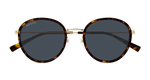 HAVANA / GOLD / BLUE