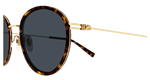 HAVANA / GOLD / BLUE