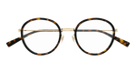 HAVANA / GOLD / TRANSPARENT