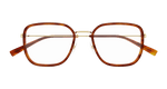 HAVANA / GOLD / TRANSPARENT