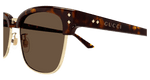 HAVANA / BROWN