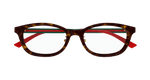HAVANA / GREEN / TRANSPARENT