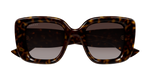 HAVANA / BROWN