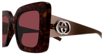 HAVANA / BROWN / RED