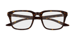 HAVANA / TRANSPARENT