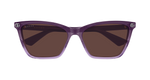 VIOLET / BROWN