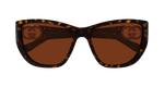 HAVANA / BROWN