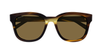 HAVANA / BROWN