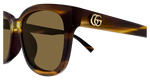 HAVANA / BROWN
