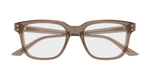 BROWN / TRANSPARENT
