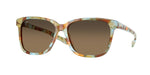 200920 - Ocean Tortoise / Copper Gradient