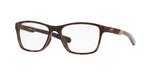 800502 - Matte Tortoise/Shiny Sand / Transparent