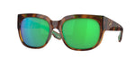 901909 - Shiny Palm Tortoise / Green Mirror