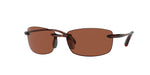 907101 - Tortoise / Copper