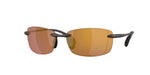 907110 - Matte Tortoise / Gold Mirror