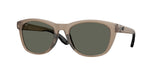 910810 - Matte Brown Smoke / Gray