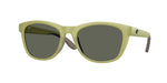 910813 - Matte Translucent Sitka / Gray