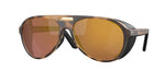 911711 - Matte Tortoise / Gold Mirror