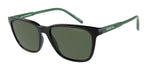 27539A - Black / Green Polarized