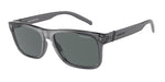 278681 - Transparent Gray / Polarized Dark Grey