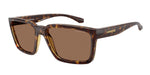 277073 - Dark Havana / Dark Brown