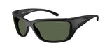 29009A - Matte Black / Polar Dark Green