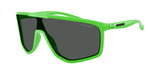 295087 - Gekko Green / Dark Grey