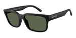 29009A - Matte Black / Dark Green Polar