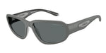 300981 - Transparent Dark Grey / Dark Grey Polarized