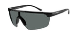 290081 - Black / Dark Grey Polarized