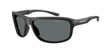 290081 - Matte Recycled Black / Grey Polarized