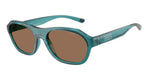 304673 - Transparent Petrol / Dark Brown