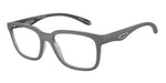 3009 - Grey/Transparent Grey / Demo Lens