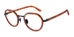 6404 - Brown Turtle / Demo Lens