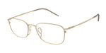 3002 - Matte Pale Gold / Demo Lens