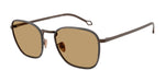 300673 - Matte Bronze / Brown
