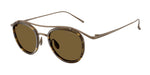 342973 - Matte Pale Gold / Dark Brown