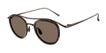 343073 - Brown Demi Gloss / Brown