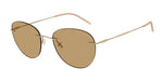 300273 - Matte Pale Gold / Brown