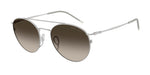 304513 - Matte Silver / Gradient Brown