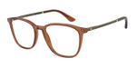6046 - Transparent Brown / Transparent