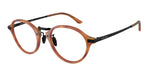 6404 - Brown Turtle / Demo Lens