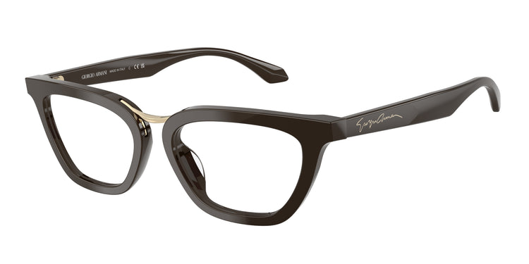 6398 - Brown / Demo Lens