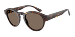 502673 - Dark Havana / Dark Brown