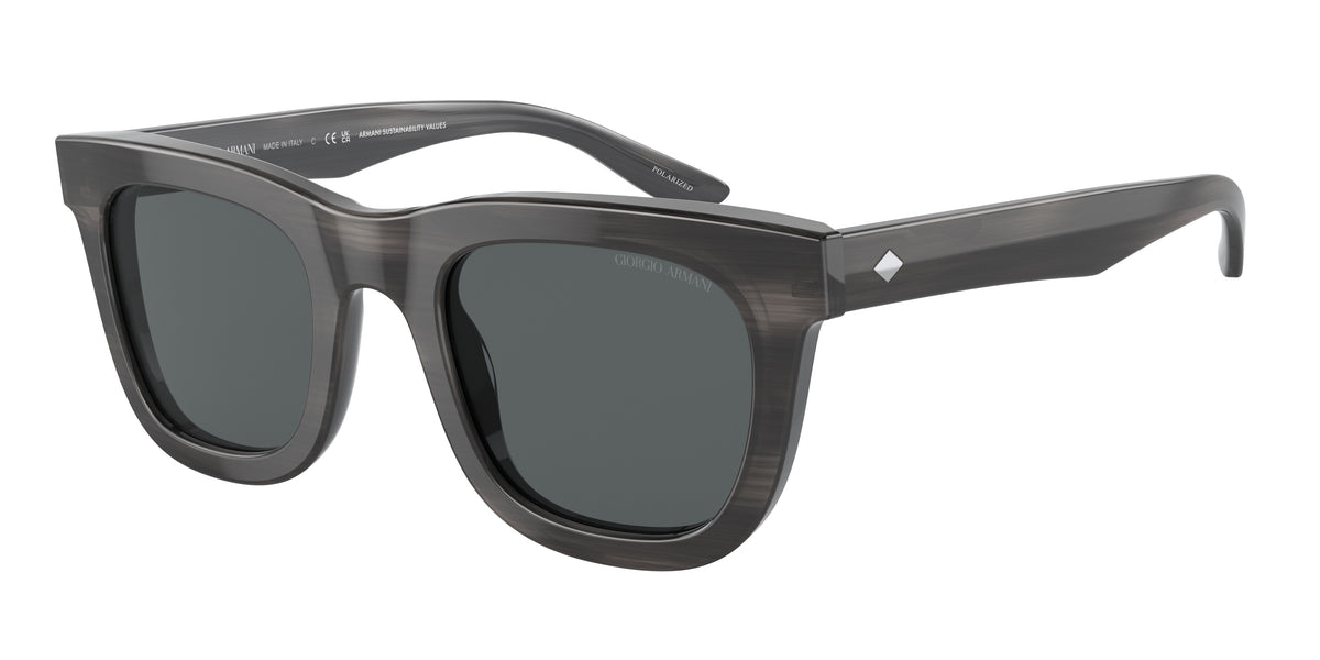 Giorgio Armani Sunglasses 0AR8171 5964P2 49