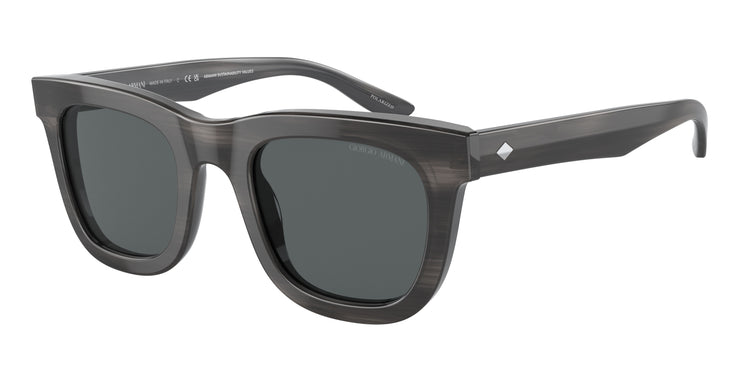 Giorgio Armani Sunglasses 0AR8171 5964P2 49